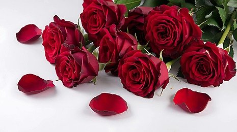 Fresh Flowers Bouquets